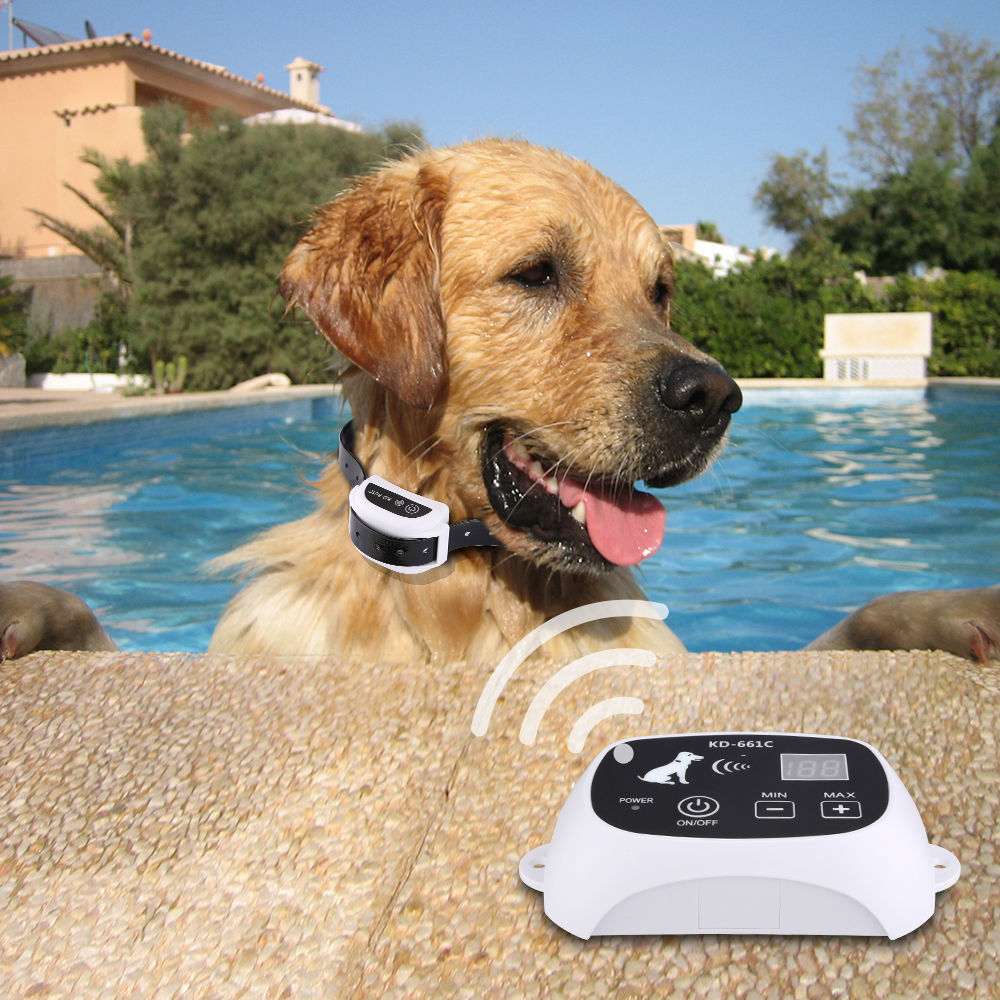 PetSecure – Freedom to move, security assured.