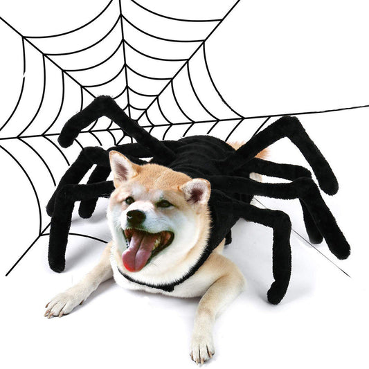 AracnoFancy – Costume Araignée Fun pour Chats & Chiens