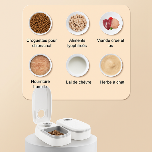 The Smart Dispenser – Feeds Your Pet on Time, Every Day, Effortlessly!