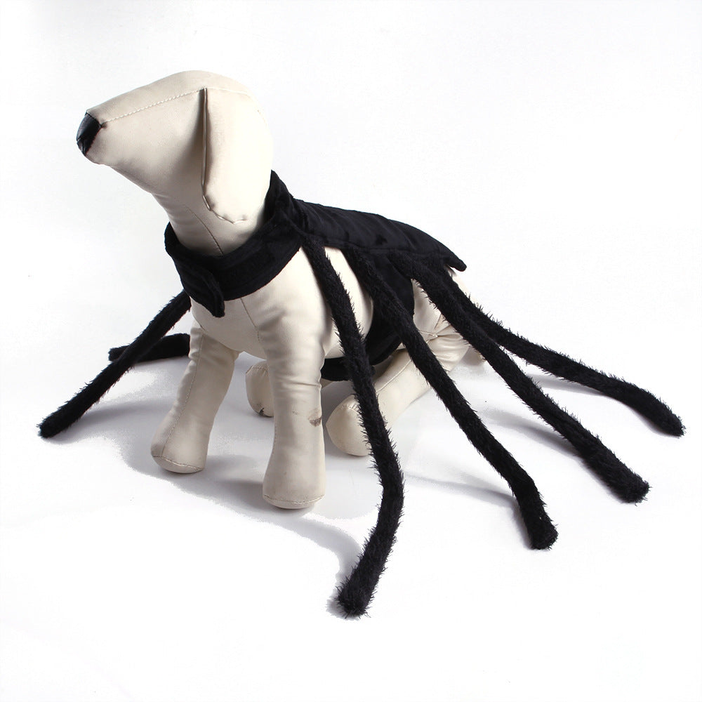 AracnoFancy – Costume Araignée Fun pour Chats & Chiens