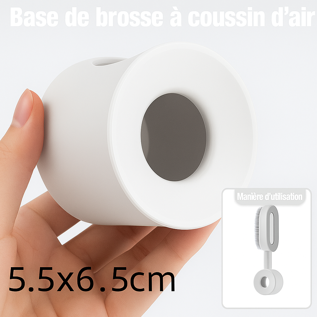 Self-Cleaning Shine Brush – Detangle, Massage and Shine in One Click!
